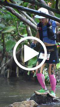 BIB:  <button type="button" onclick="openModal(27824595)" class="btn btn-primary btn-sm float-right" data-toggle="modal" data-target=".modal-high-quality">
                <i class="fa fa-download"></i> Download
                </button>